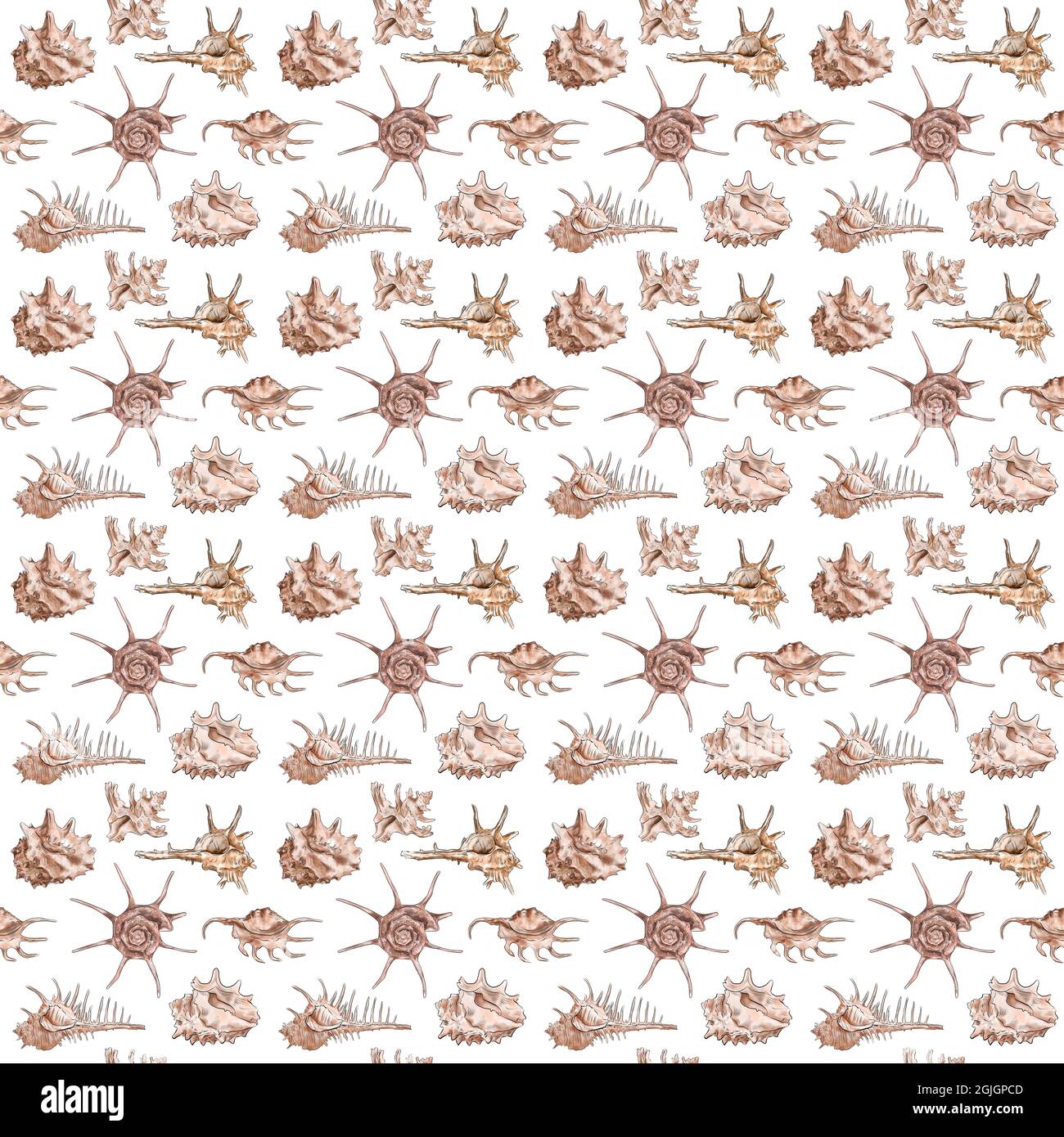 Watercolor digital illustration seamless pattern of seashells from ...