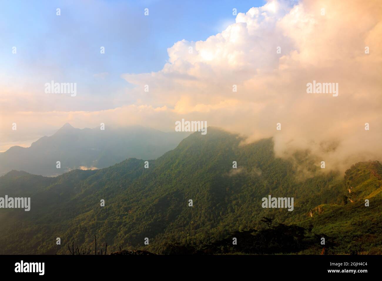 Morning sun and fog hi-res stock photography and images - Alamy