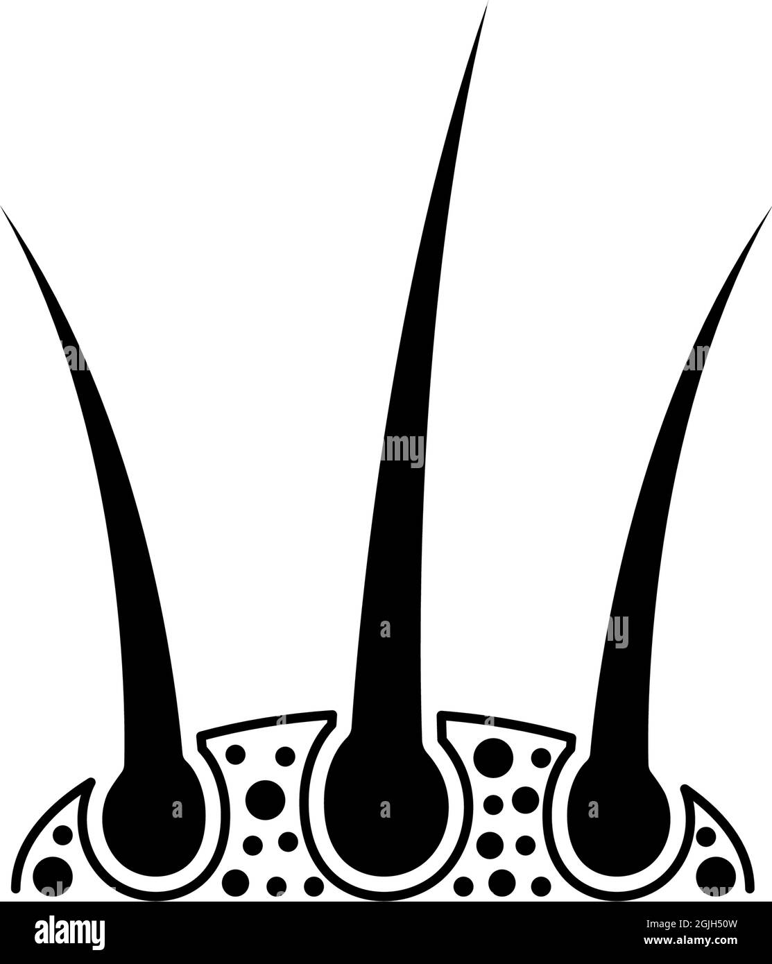 Dermatology hair icon design template illustration isolated Stock Vector