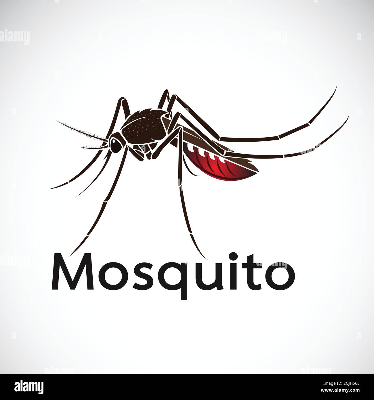 Dengue vector online