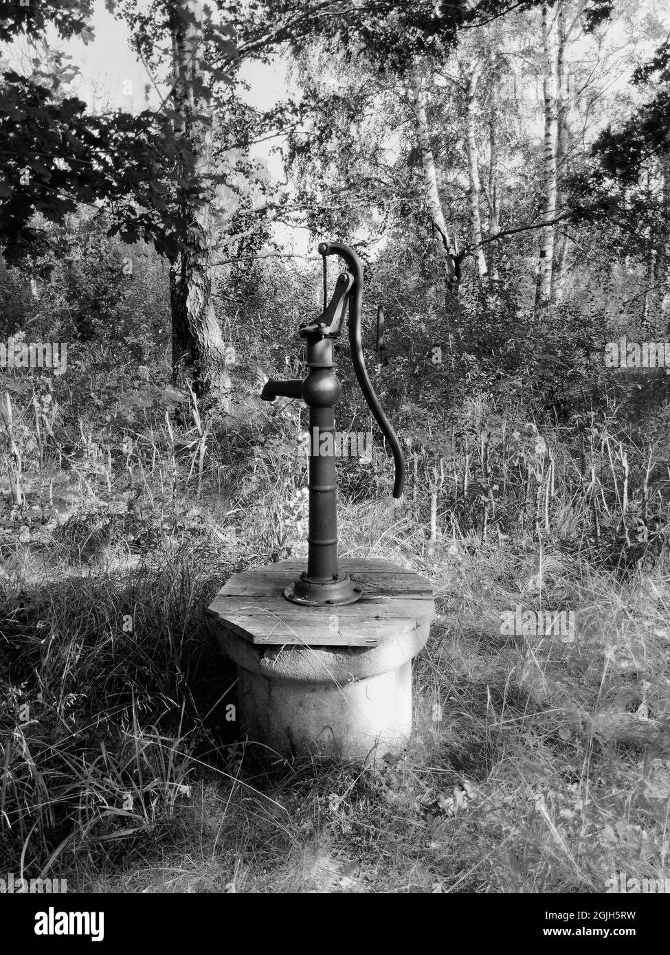 An old fashioned hand powered water pump in a garden in black and