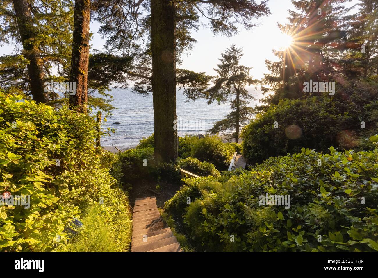 Hiking Path to Mystic Beach in the Vibrant Rainforest Stock Photo - Alamy
