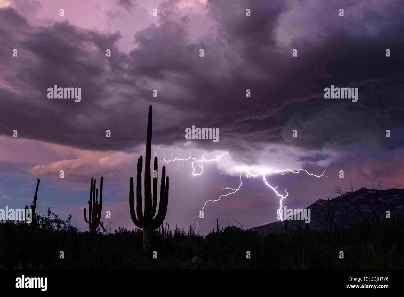 Lightning at sunset in the sonoran desert Stock Photo - Alamy