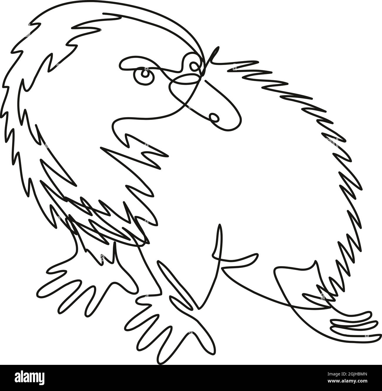 Continuous line drawing illustration of an Echidna or spiny anteater side view done in mono line or doodle style in black and white on isolated backgr Stock Vector