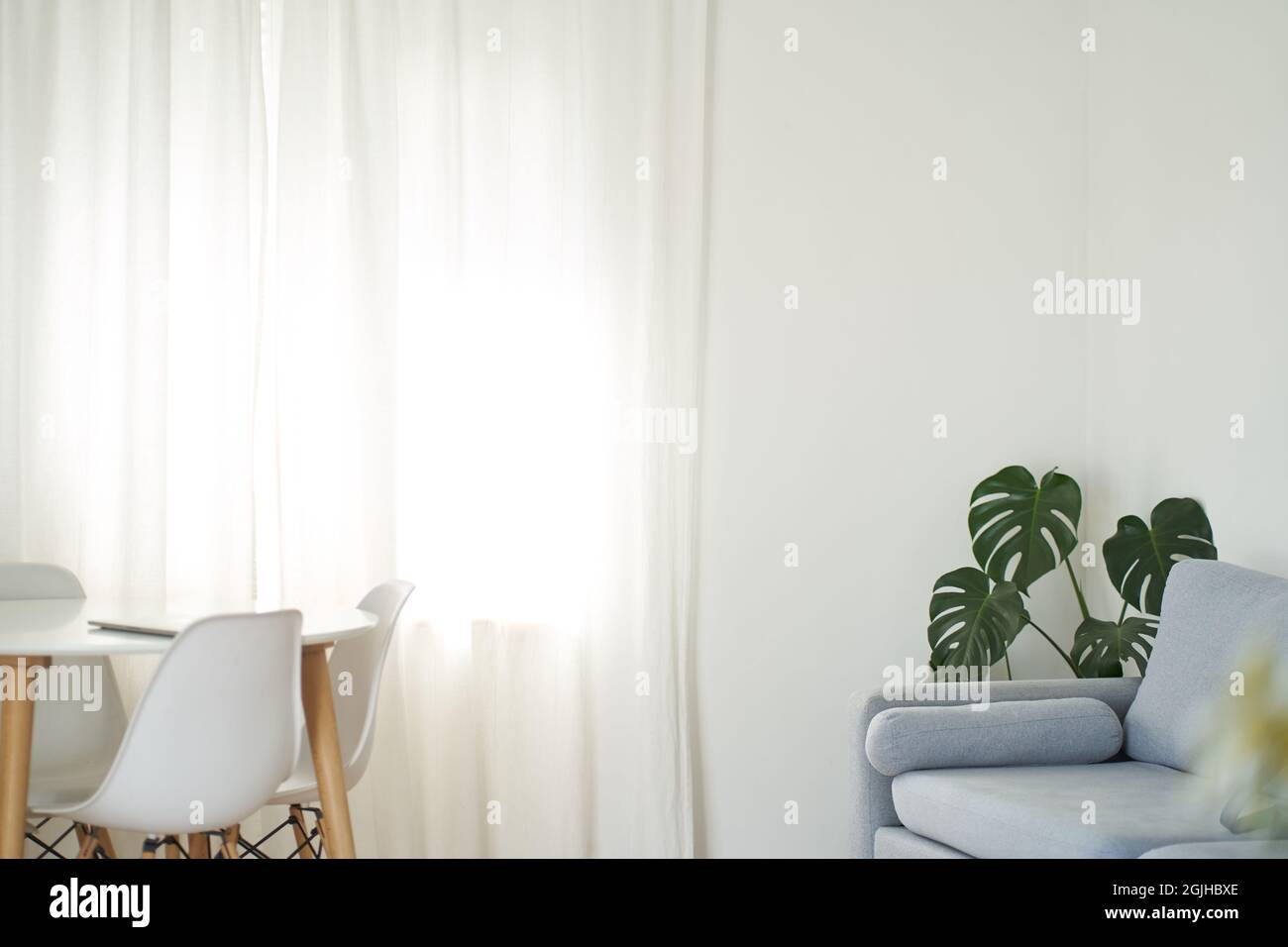 Stylish interior of the dining room with a designer white table, chairs, a plant in the corner, a large window, the concept of modern home decor. High quality photo Stock Photo