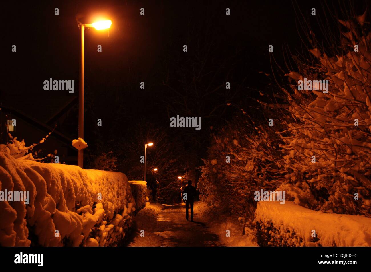 A cold Winternight in Zollikon Stock Photo