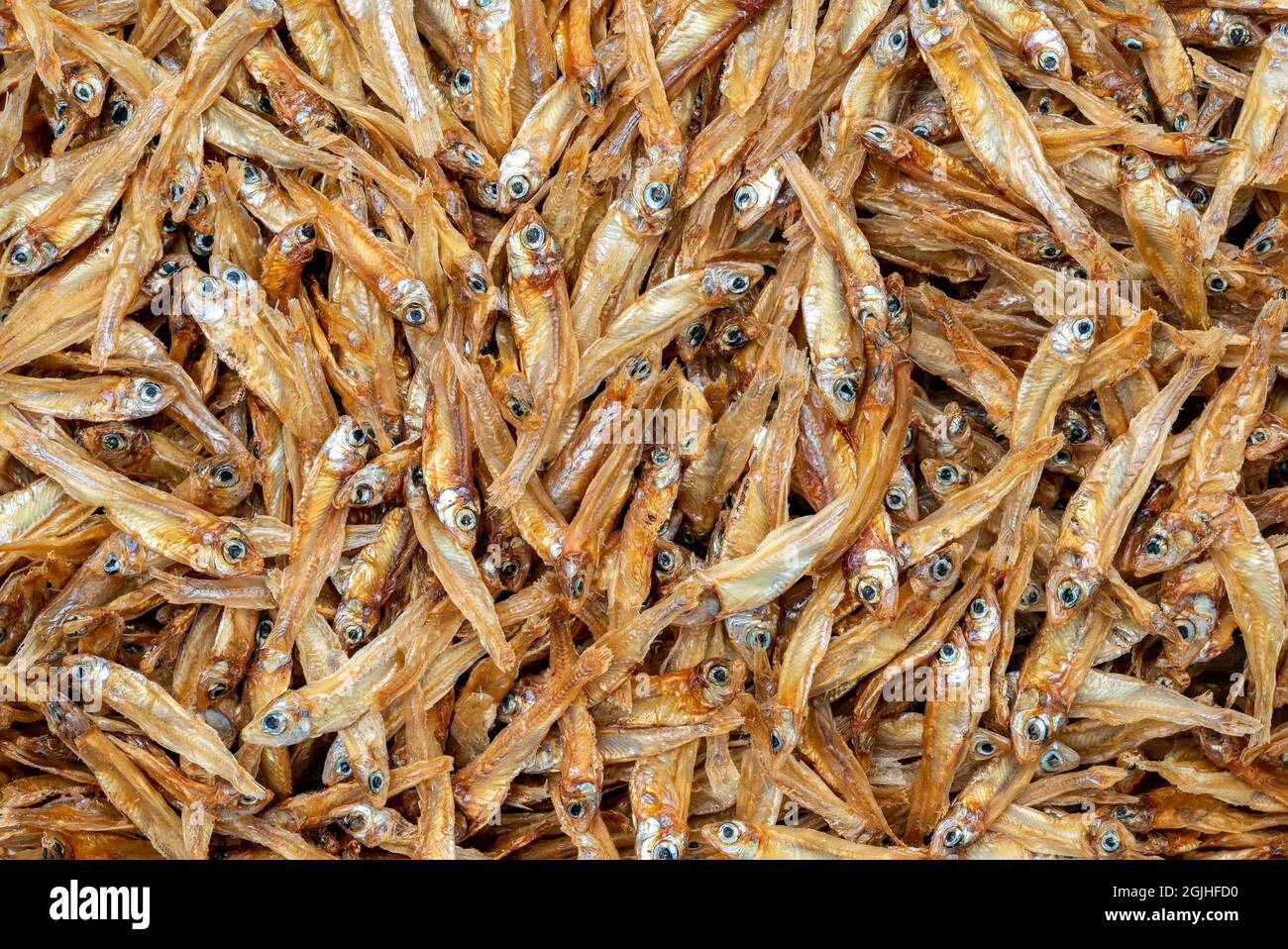Dried anchovies fish on white background, macro image, fill frame with