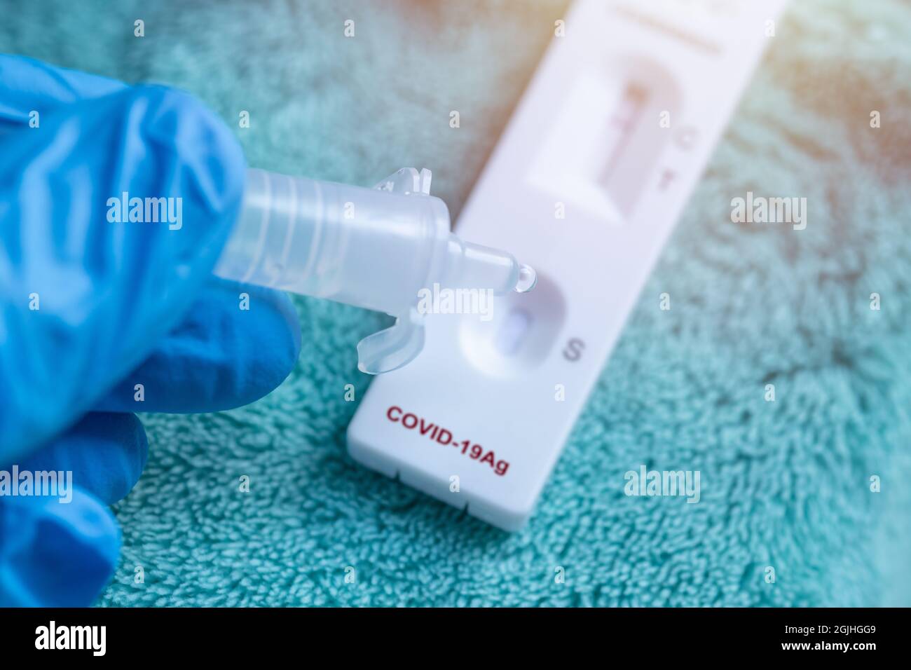 Using Covid-19 Rapid Antigent test  kit process with drop solution liquid from nasopharyngeal swab. Stock Photo