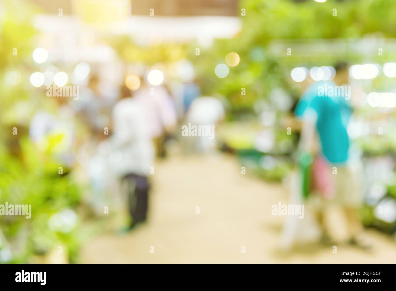 Blur Green plant tree and agriculture event in large exhibition center hall with people walking for shopping houseplant for background. Stock Photo