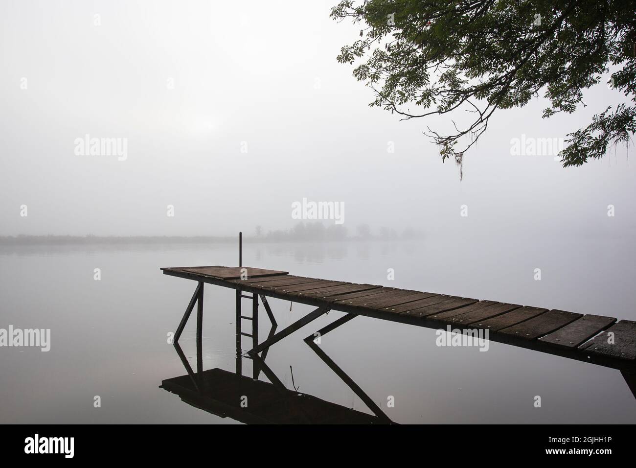 Jetty in the misty river Meuse in Geijsteren in the North of Limburg Stock Photo