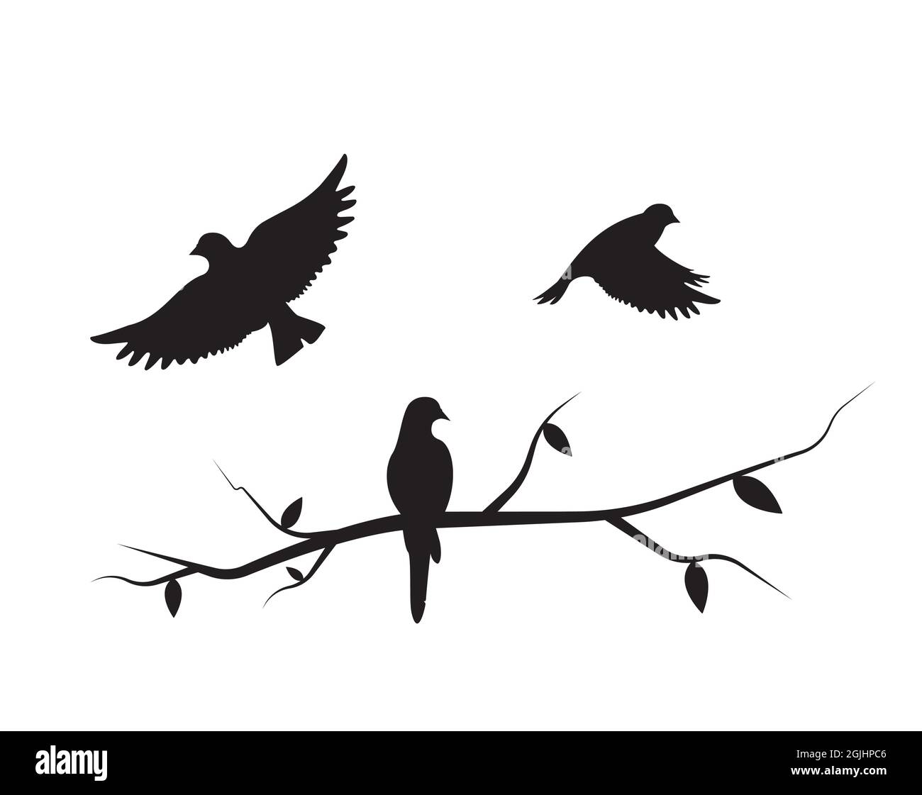 Flying birds silhouette on a branch and flying bird, vector. Birds ...