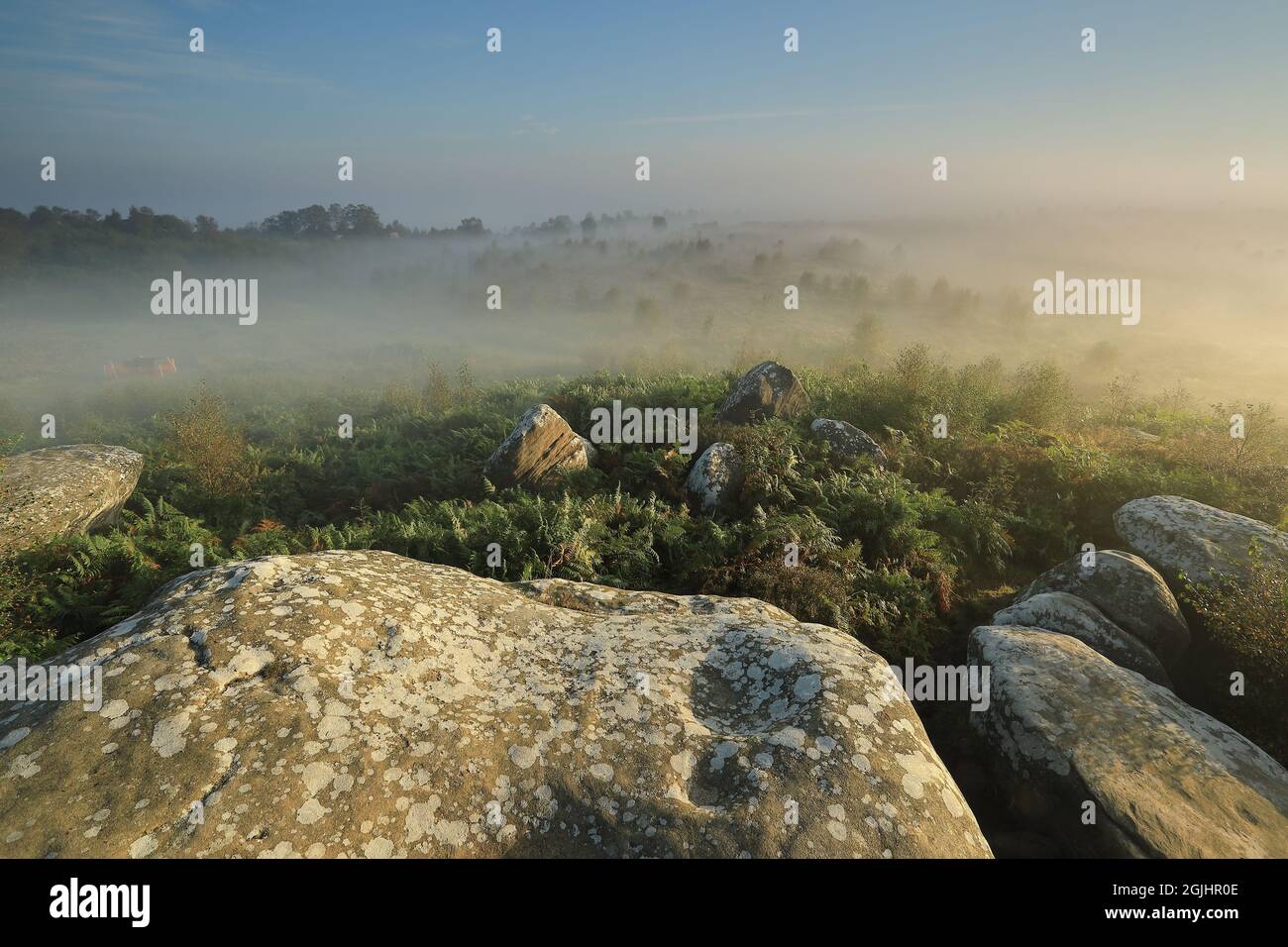 Dawn mist surrounds the rock formations at Brimahm Rocks in Nidderdale, North Yorkshire, UK Stock Photo