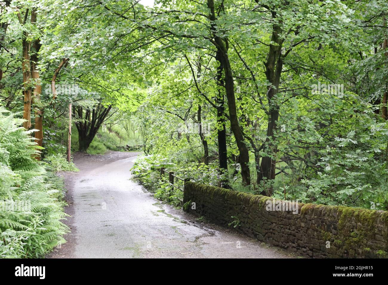 Sweeping lane through Edale in Derbyshire UK Stock Photo