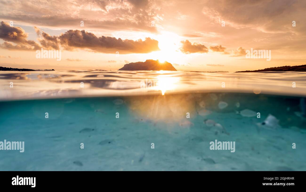 Split shot, over under water surface. Defocused fish under the waterline with Tavolara Island on the surface during a dramatic sunrise. Stock Photo