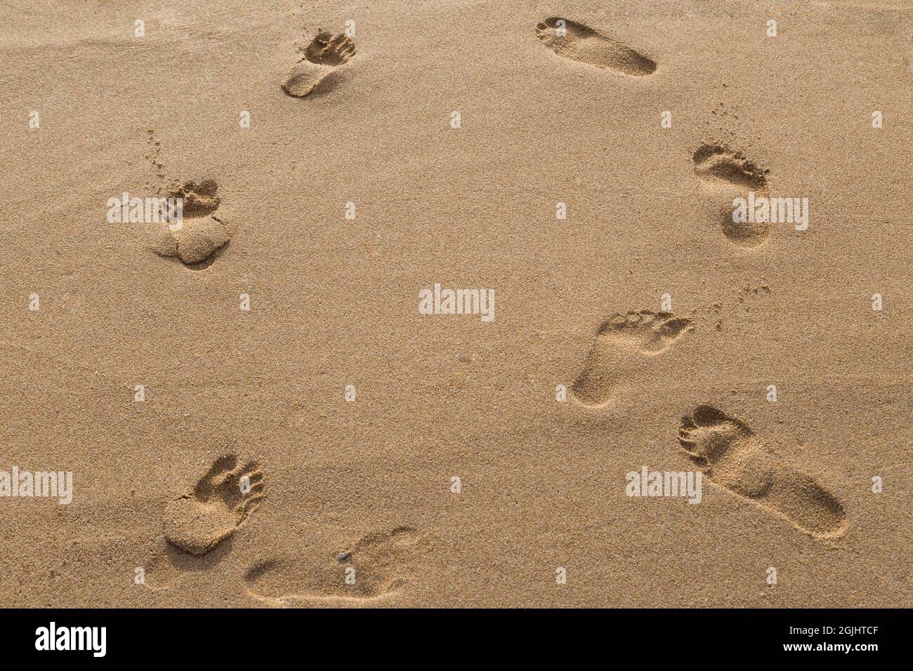 footprints of lovers in the sand on the beach background Stock Photo ...