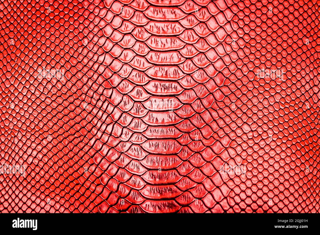 Red snake skin pattern texture background Stock Photo