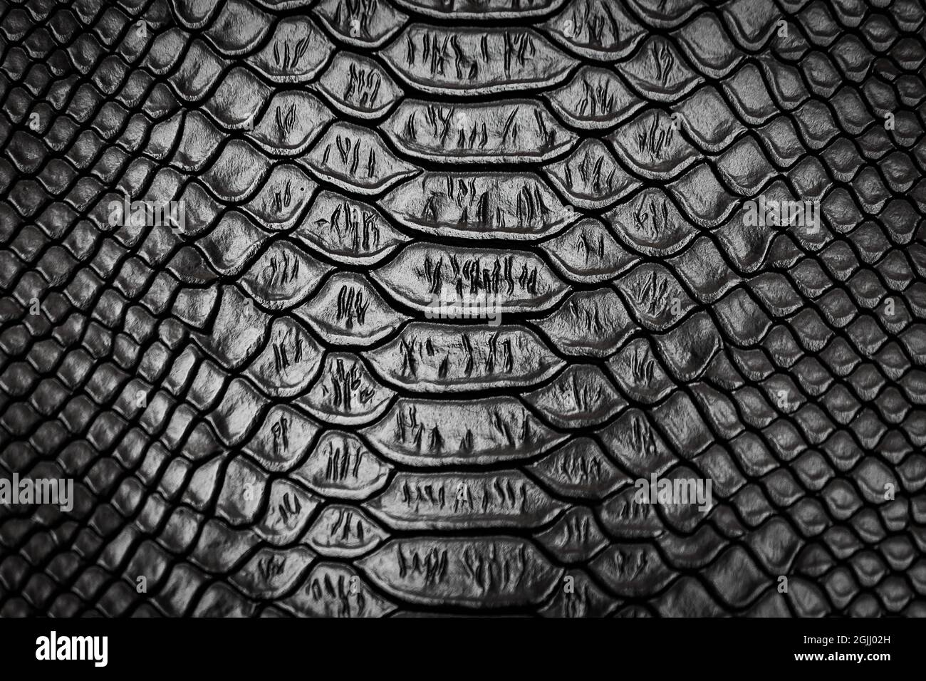 Black snake skin pattern texture background Stock Photo - Alamy