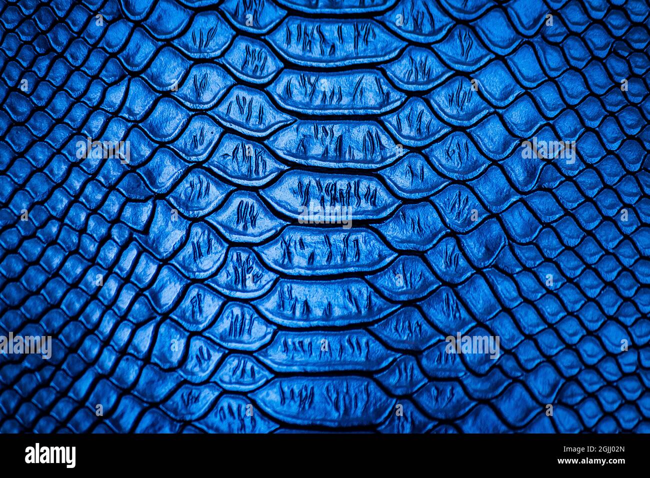Blue snake skin pattern texture background Stock Photo - Alamy
