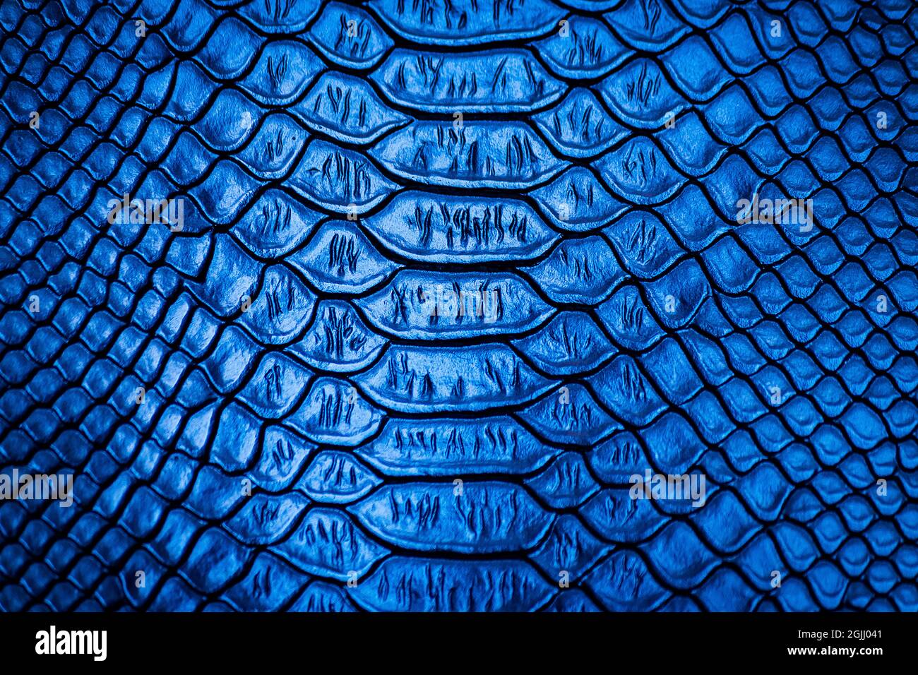 Blue snake skin hi-res stock photography and images - Alamy