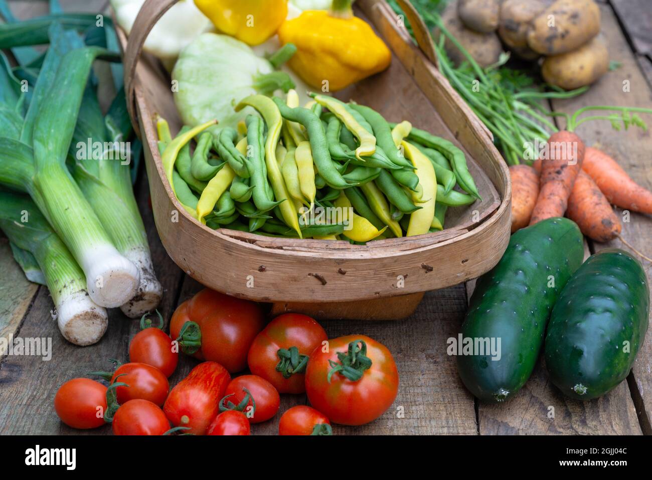 Freshly picked vegetables in a Sussex trug and on table top.  (Leeks, patty pan squash, French beans, carrots, cucumber, potatoes, tomatoes). England, Stock Photo