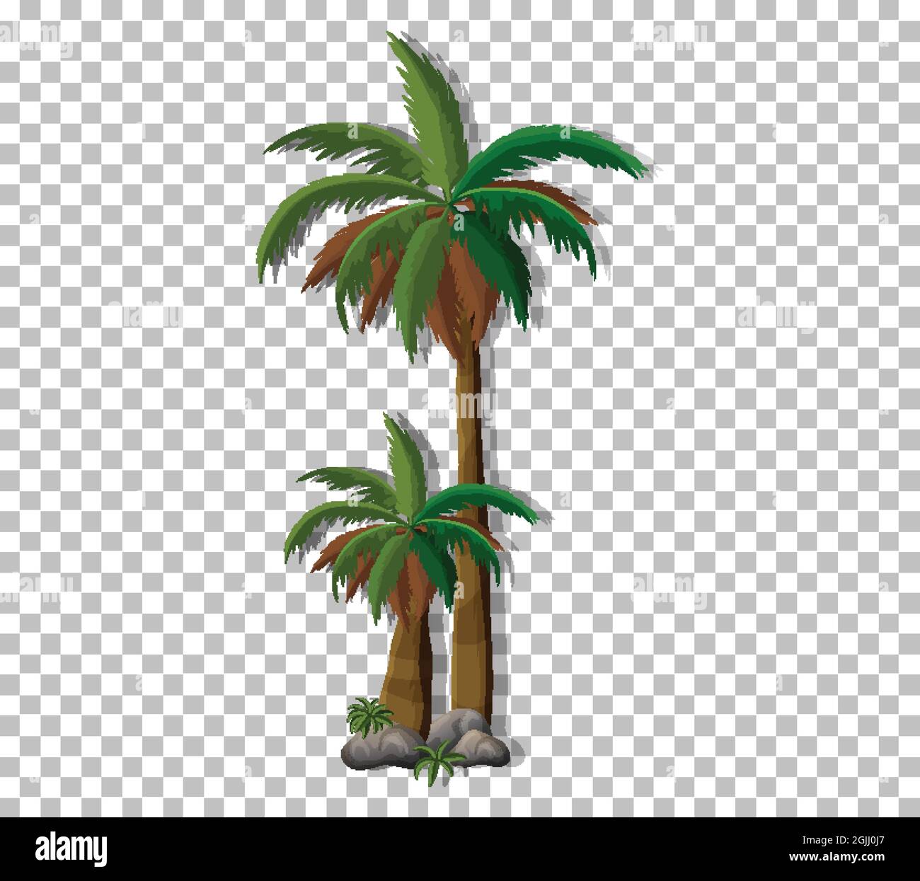 Palm tree on transparent background illustration Stock Vector Image
