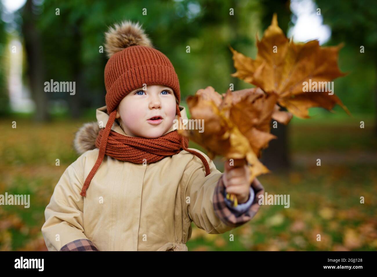 portrait of cute little girl playing with foliage in autumn park Stock ...