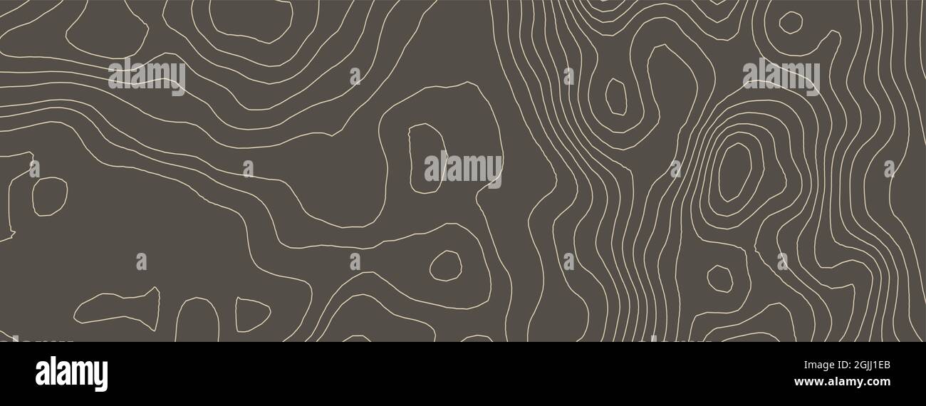 Ttopography Contours vector topography. Geographic mountain topography vector ...