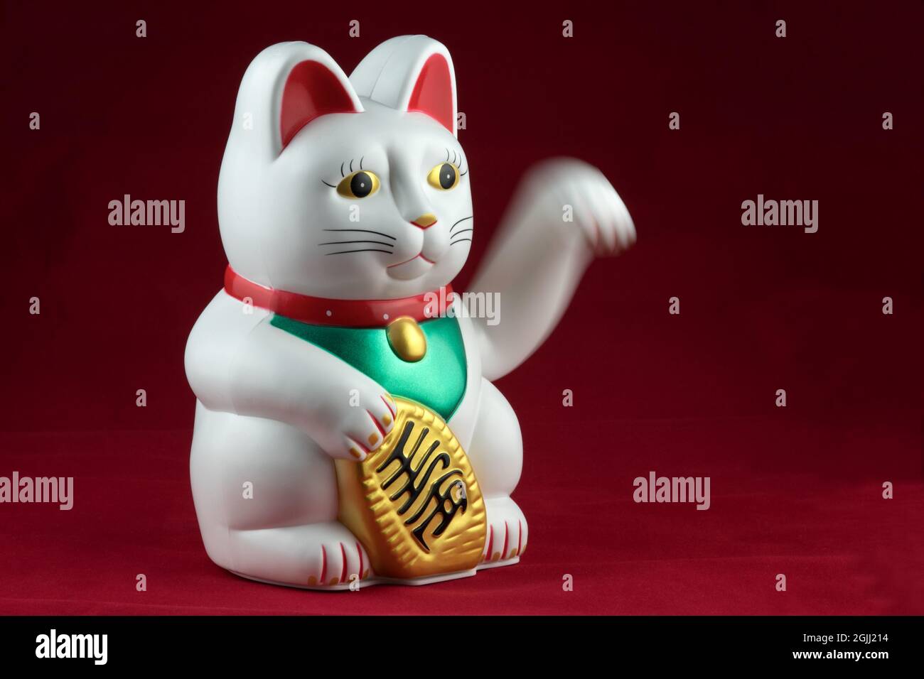 Waving oriental good fortune cat isolated on a red background Stock Photo