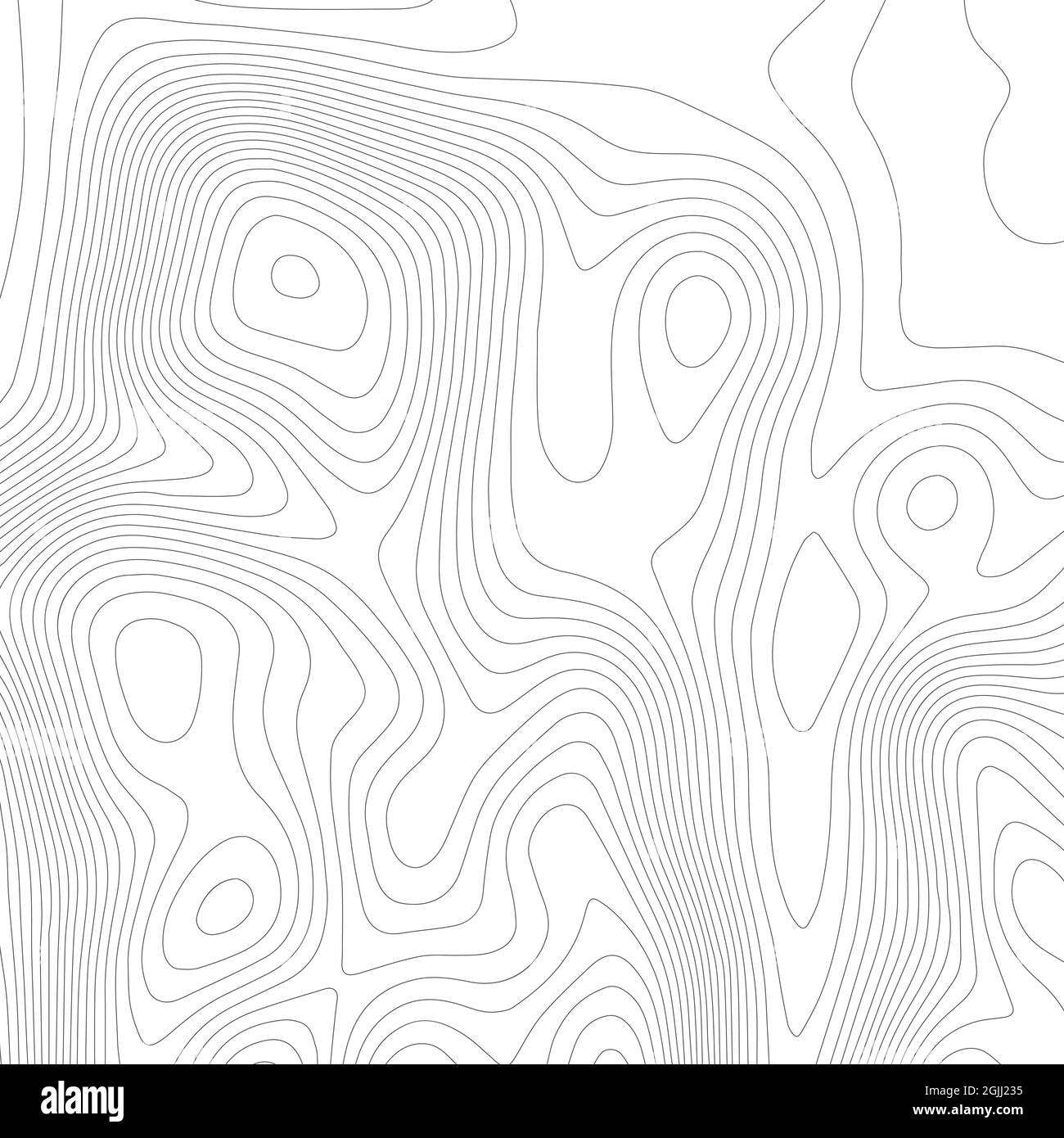 Topographic texture map on white - Topographic Texture Map On White Background Topo Map Elevation Lines Contour Vector Abstract Vector Illustration Geographic World Topography 2GJJ235