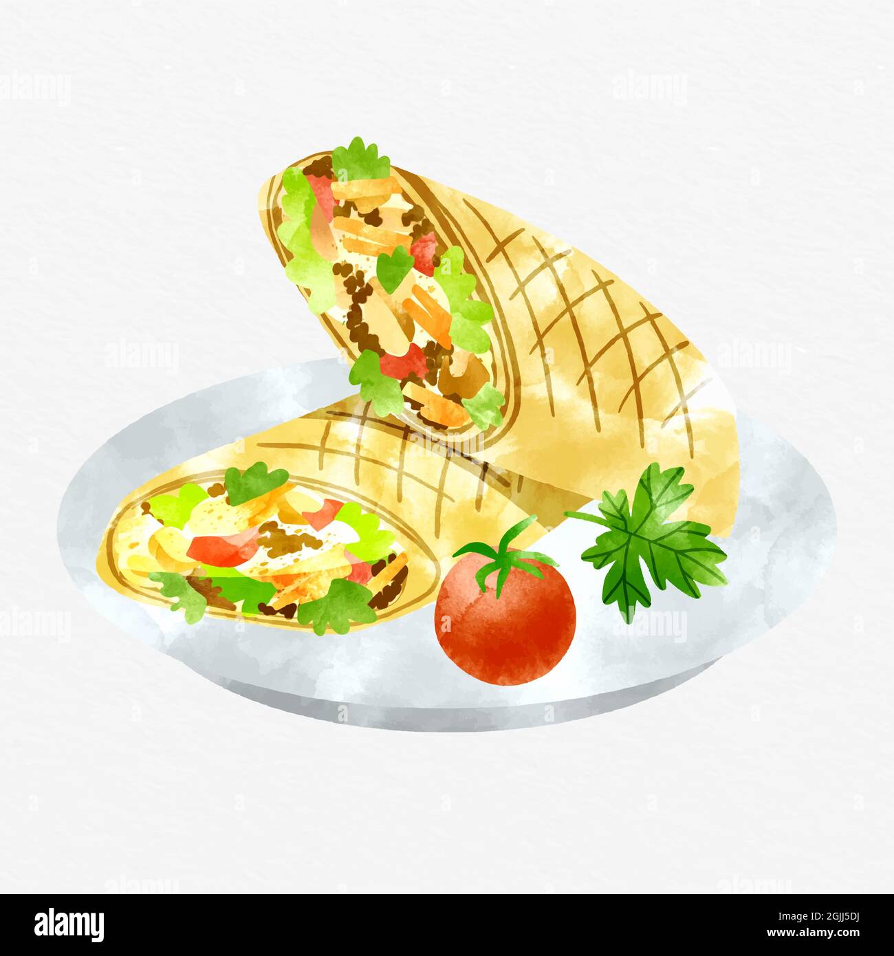 Hand painted nutritious shawarma illustration Vector illustration Stock ...