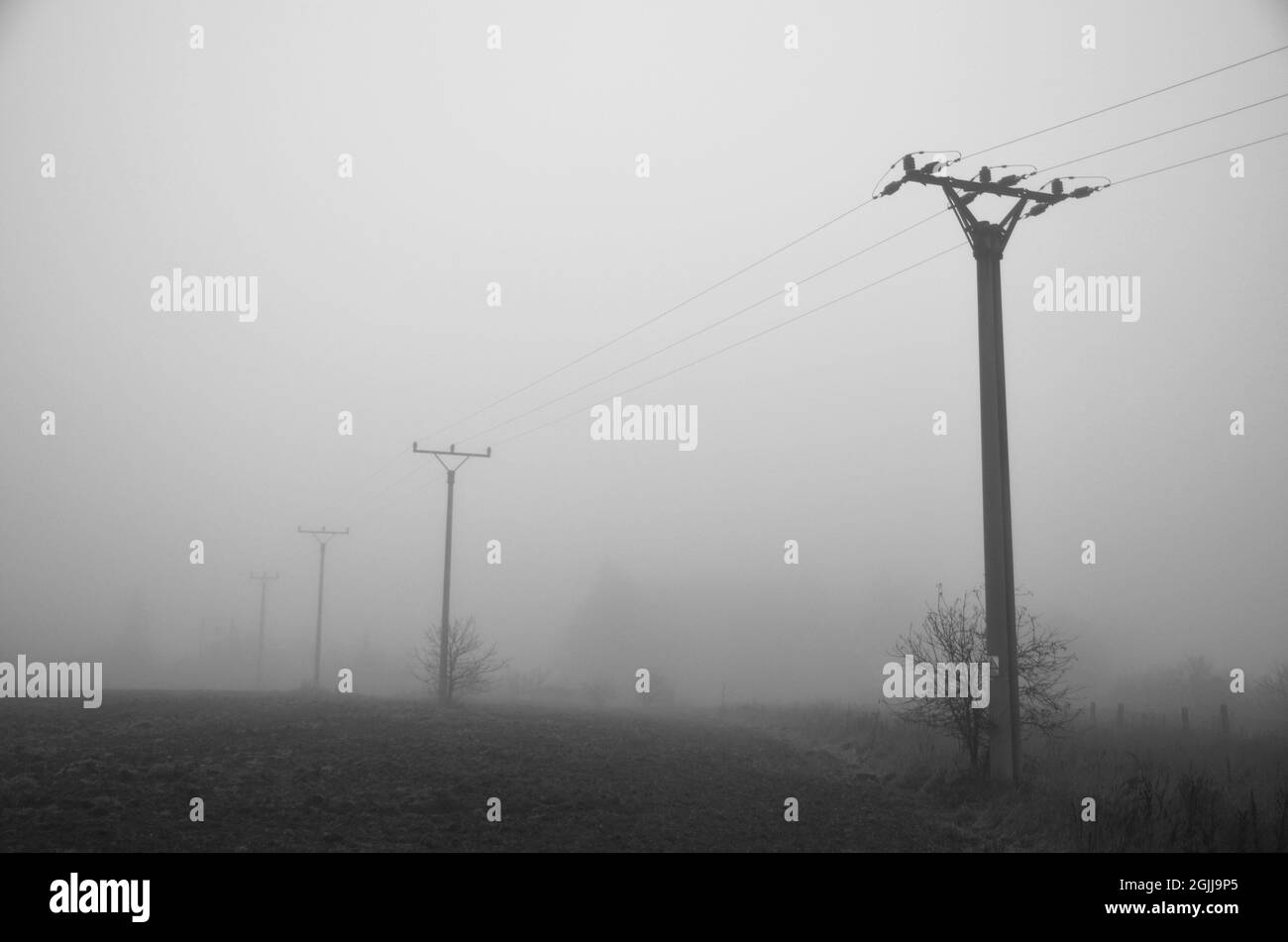 Grayscale shot of electricity wires covered in fog Stock Photo