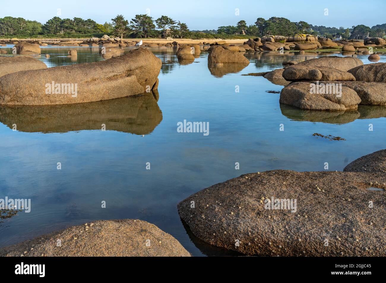 Die Felsen der rosa Granitküste Côte de Granit Rose an der Baie de