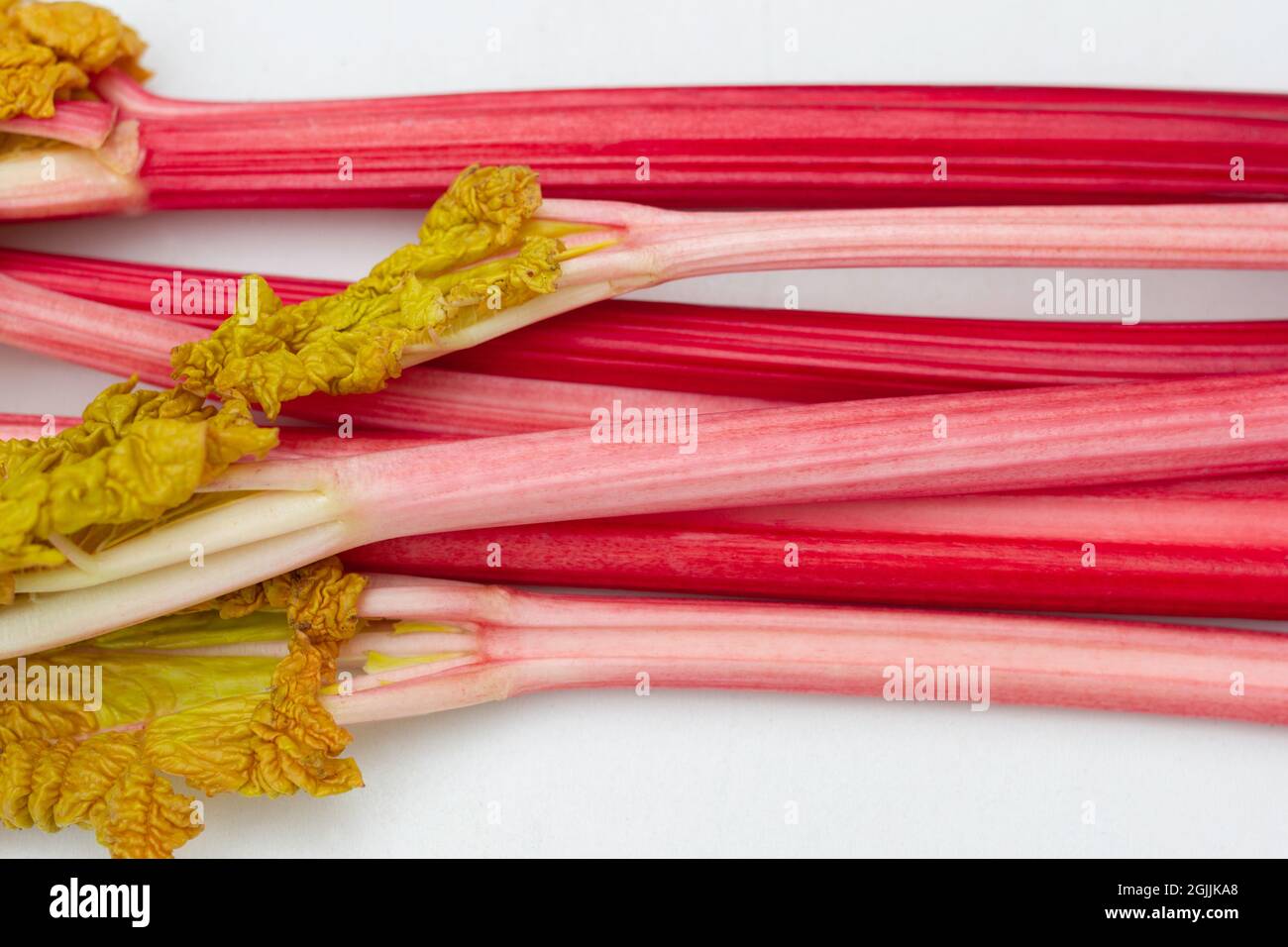 Forced rhubarb stalks, rheum, on a white background Stock Photo