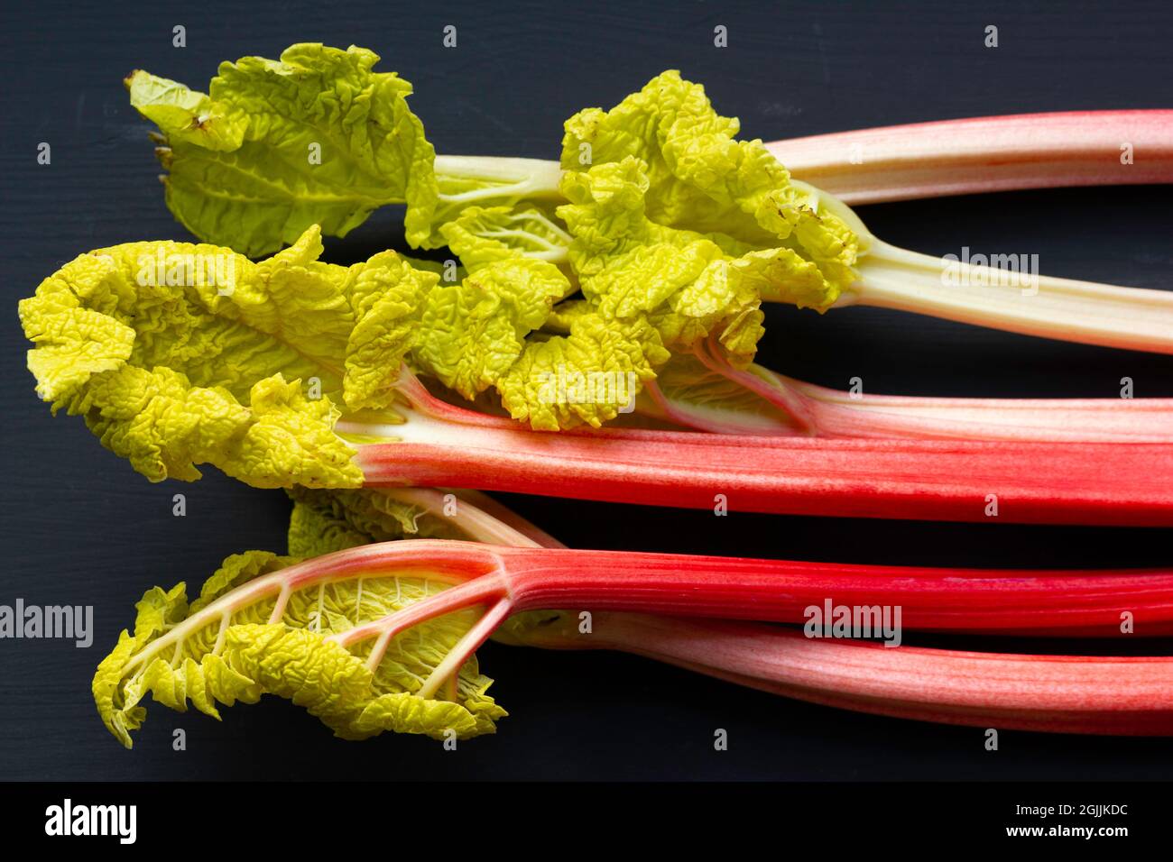 Forced rhubarb stalks, rheum, on a black background Stock Photo