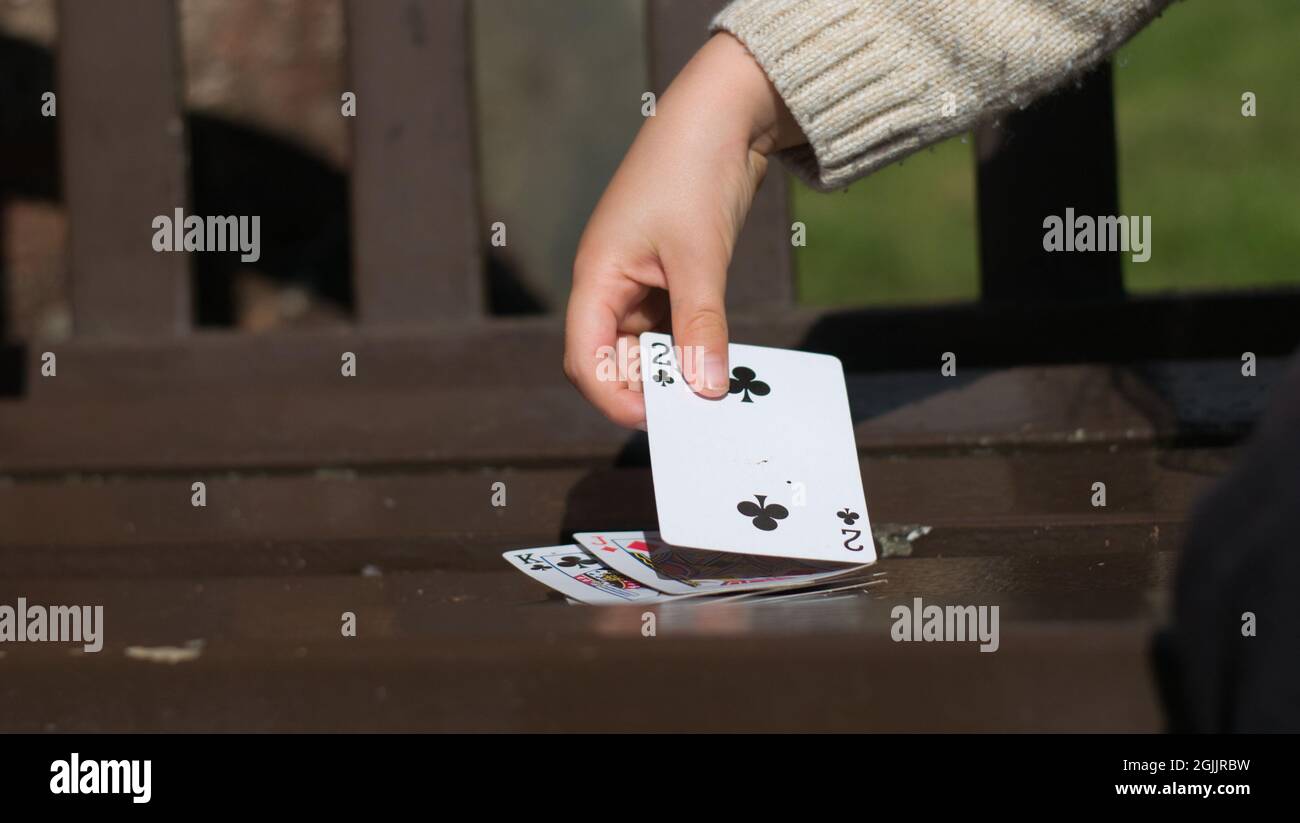 Closeup shot of a little girl playing cards on a branch in a sunny Stock Photo