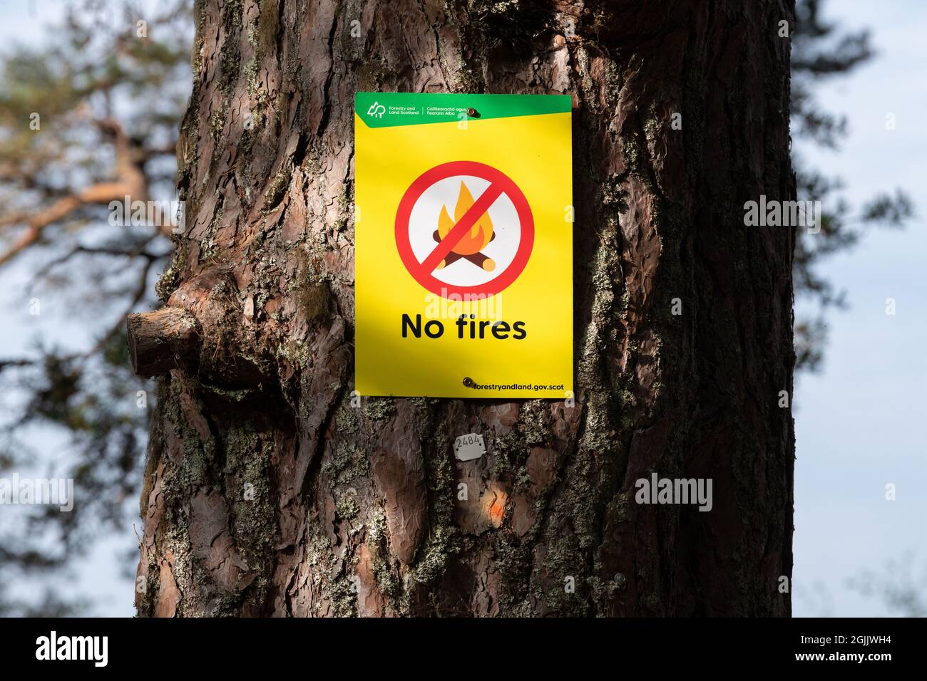 No fires sign attached to tree, Loch Rannoch, Perth and Kinross, Scotland, UK Stock Photo