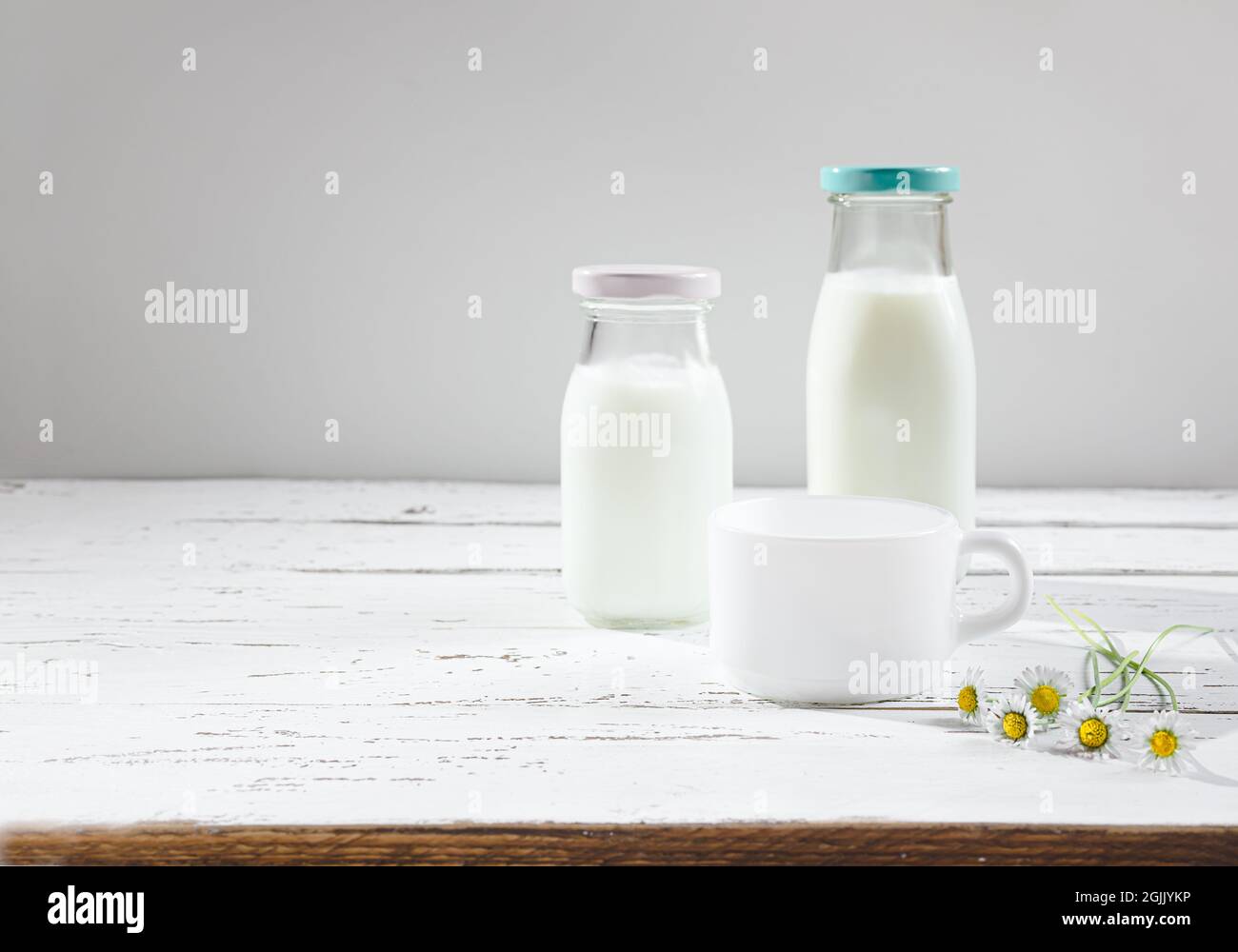 Two glass bottles and a mug with fresh organic milk or dairy product on a white wooden table, diet and nutrition concept with copy space Stock Photo