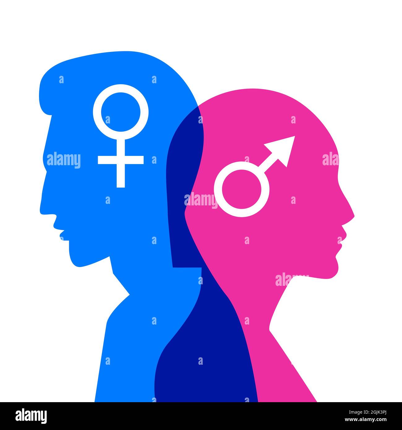 Quarrel or divorce between man and woman. Therapy of married couple. Gender issues. Psychology of relationships. Conflict in marriage. Vector illustra Stock Vector
