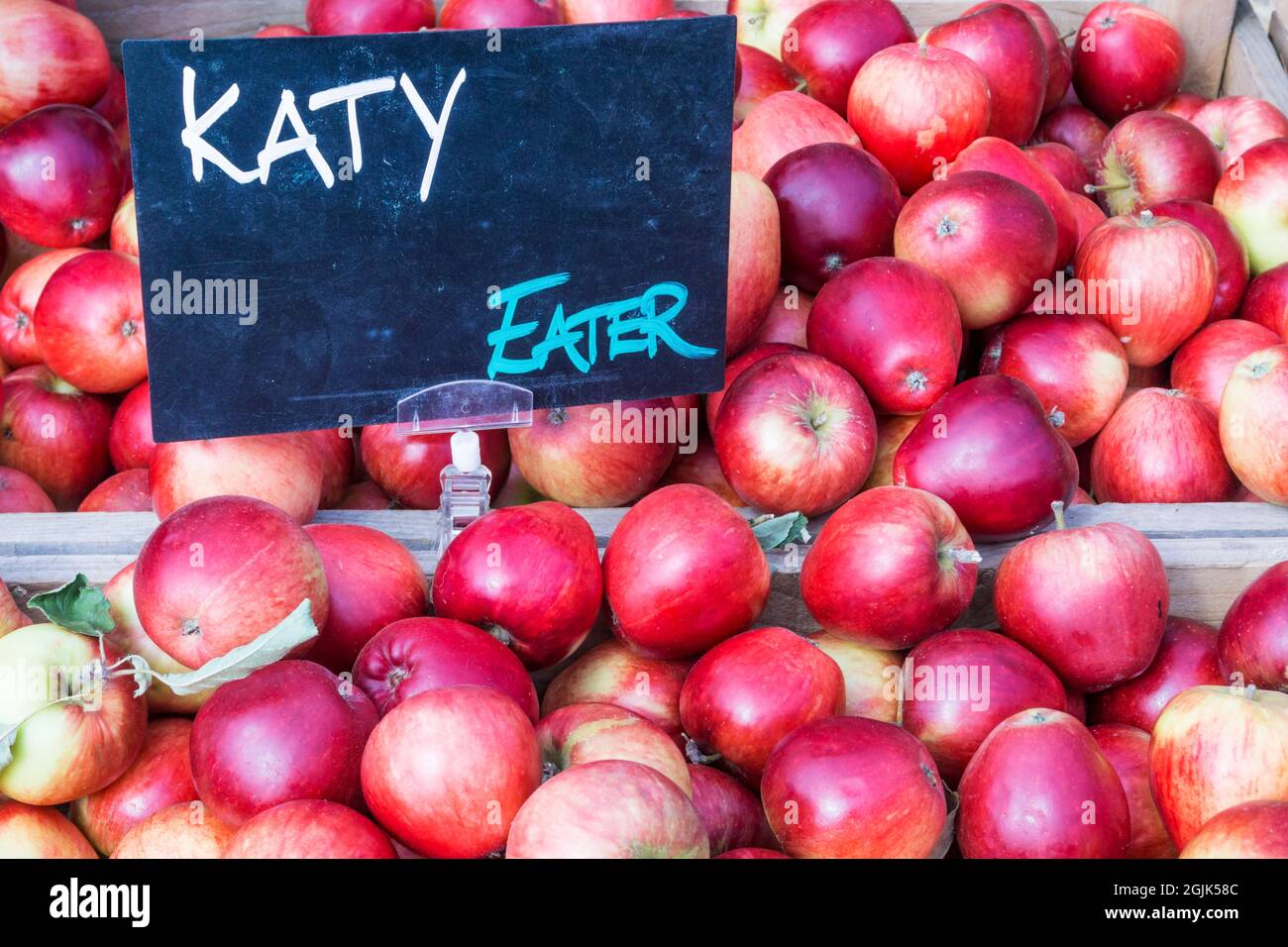 Boxes of Katy or Katya eating apples for sale. Stock Photo