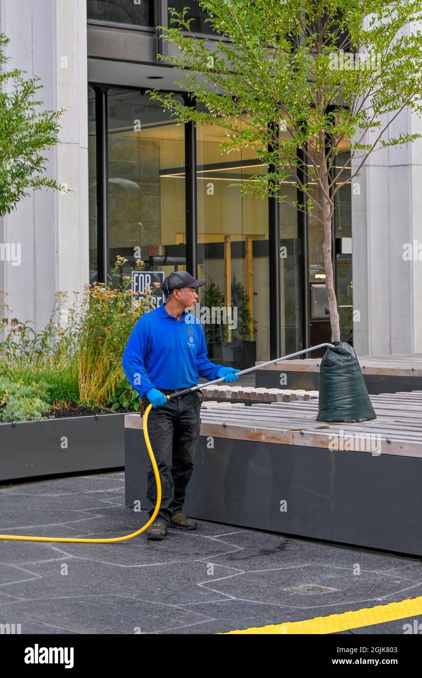 Man watering tree, downtown, Vancouver, British Columbia, Canada Stock Photo