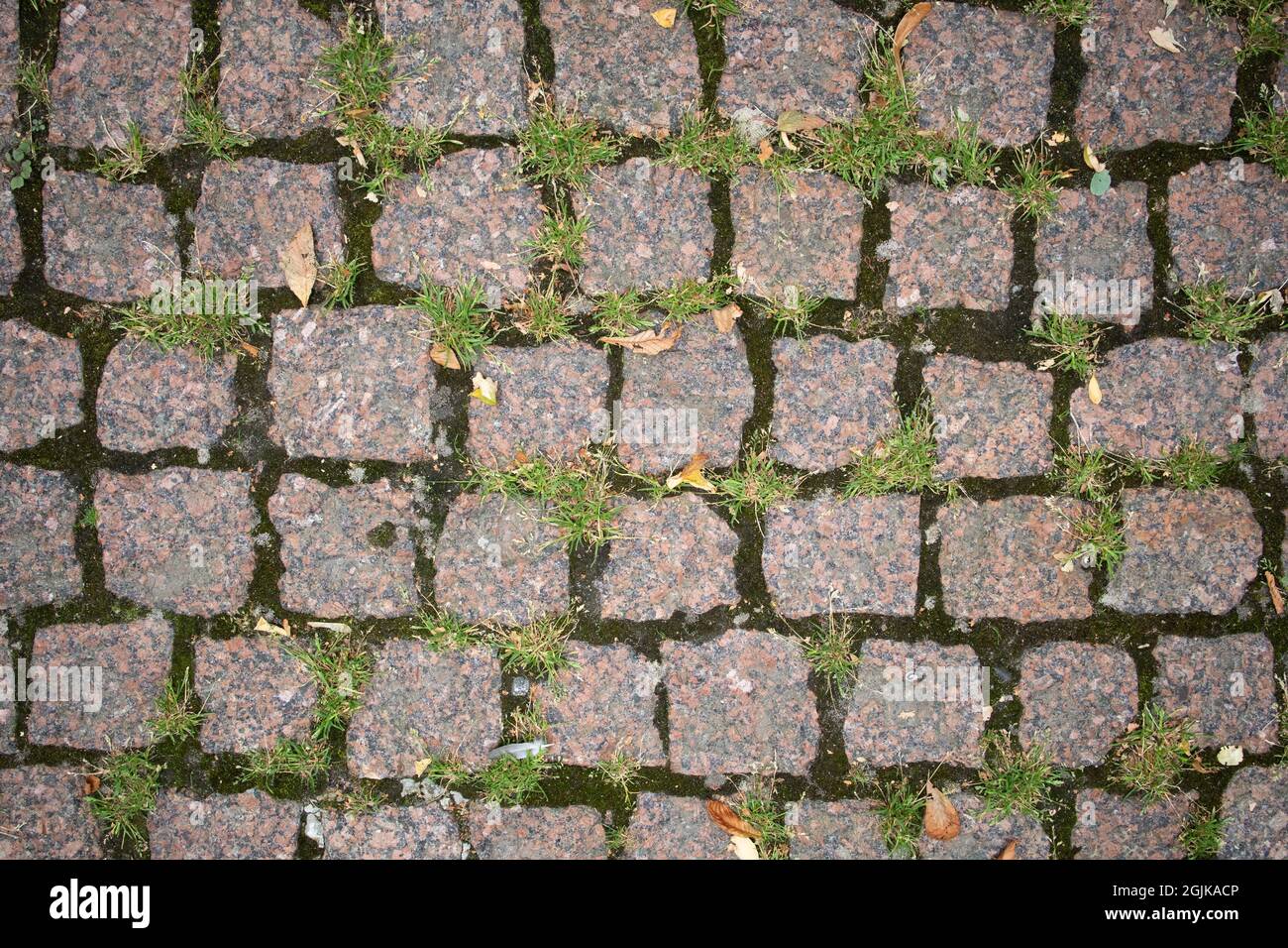 Old stone pavement with grass pattern texture Stock Photo