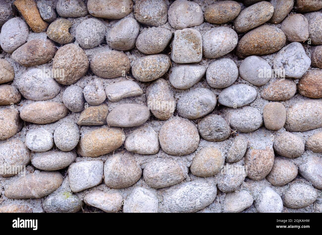 Background From Oval Stones. Vol Stones Wall. River Pebble Wall   pebble stone floor and wall pattern arranged for  texture wallpaper Stock Photo - Alamy