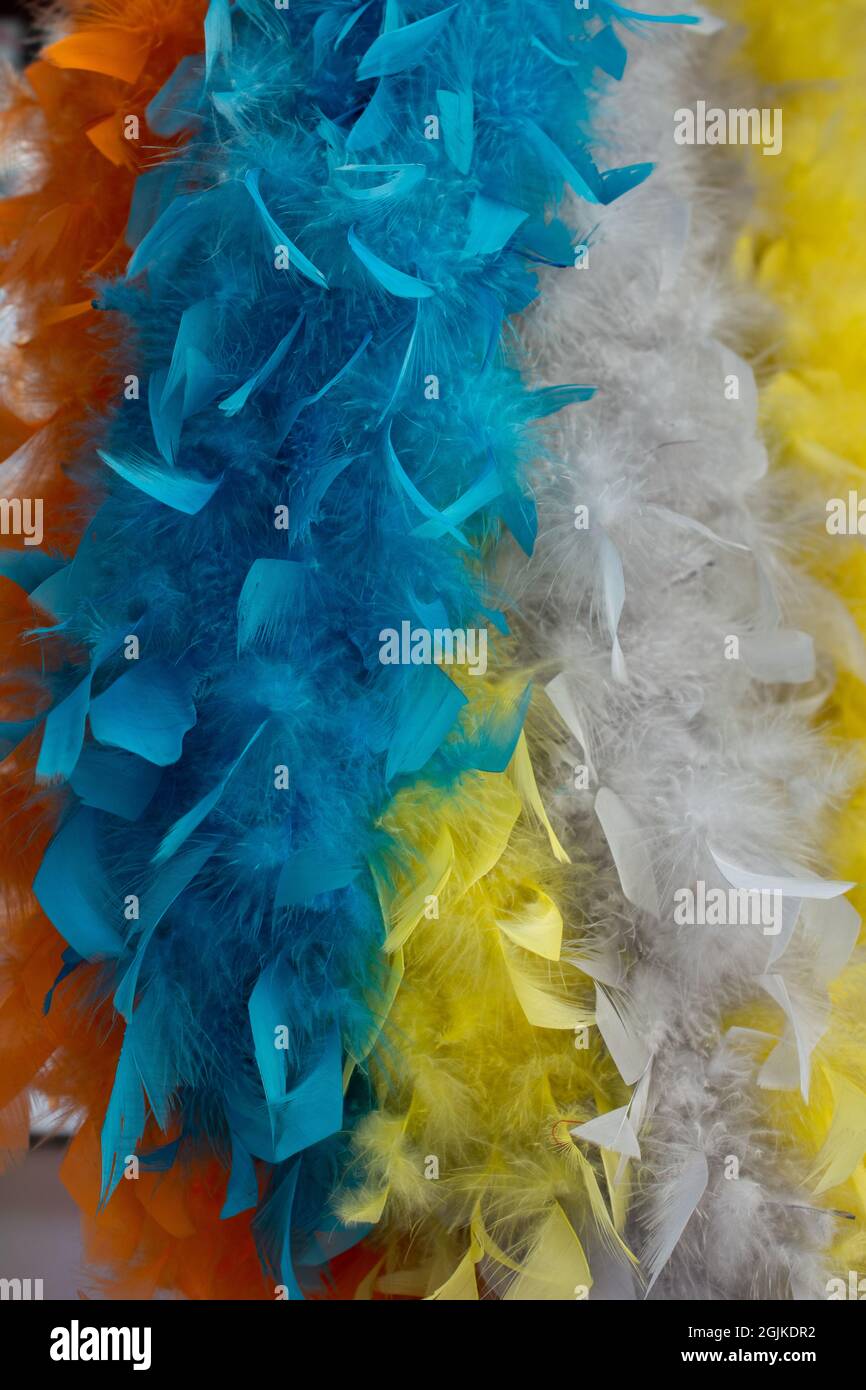 Feather boas hires stock photography and images Alamy