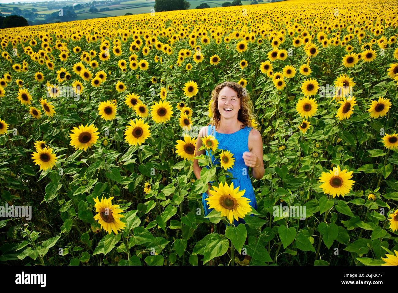 Girl in a sunflower field wearing blue dress Stock Photo - Alamy