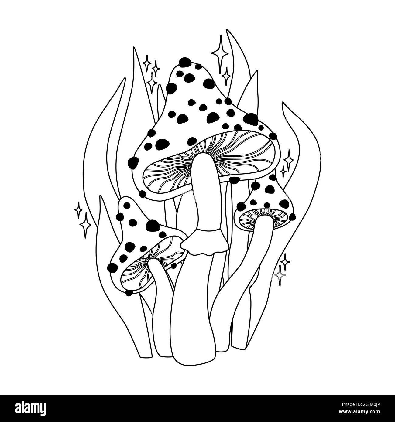Mushrooms and leaves. Black and white vector outline iilustration. Coloring page. Amanita Stock Vector