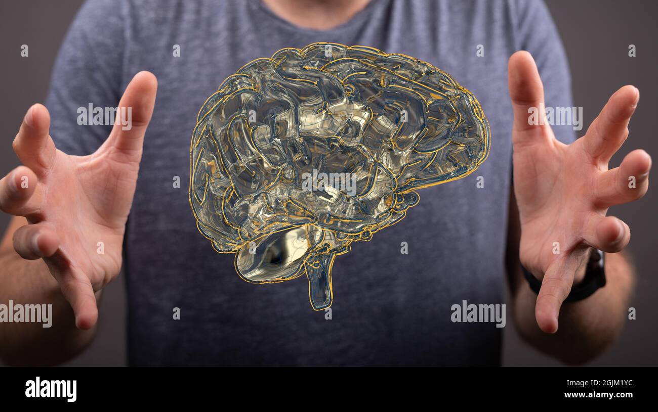 Closeup of male hands showing the Human brain partially consists of a ...
