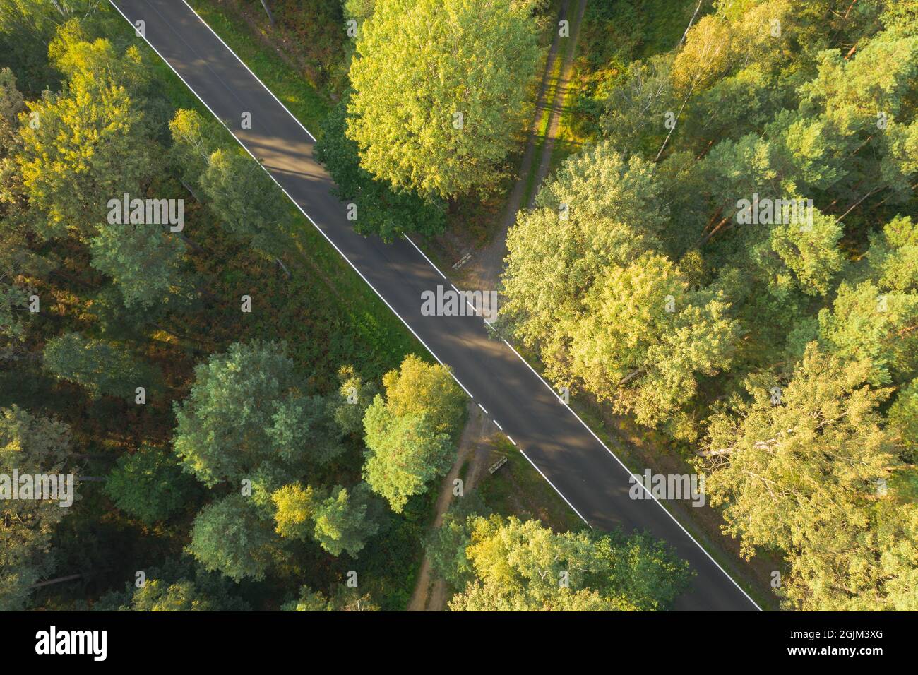 Aerial asphalt road through forest hi-res stock photography and images ...