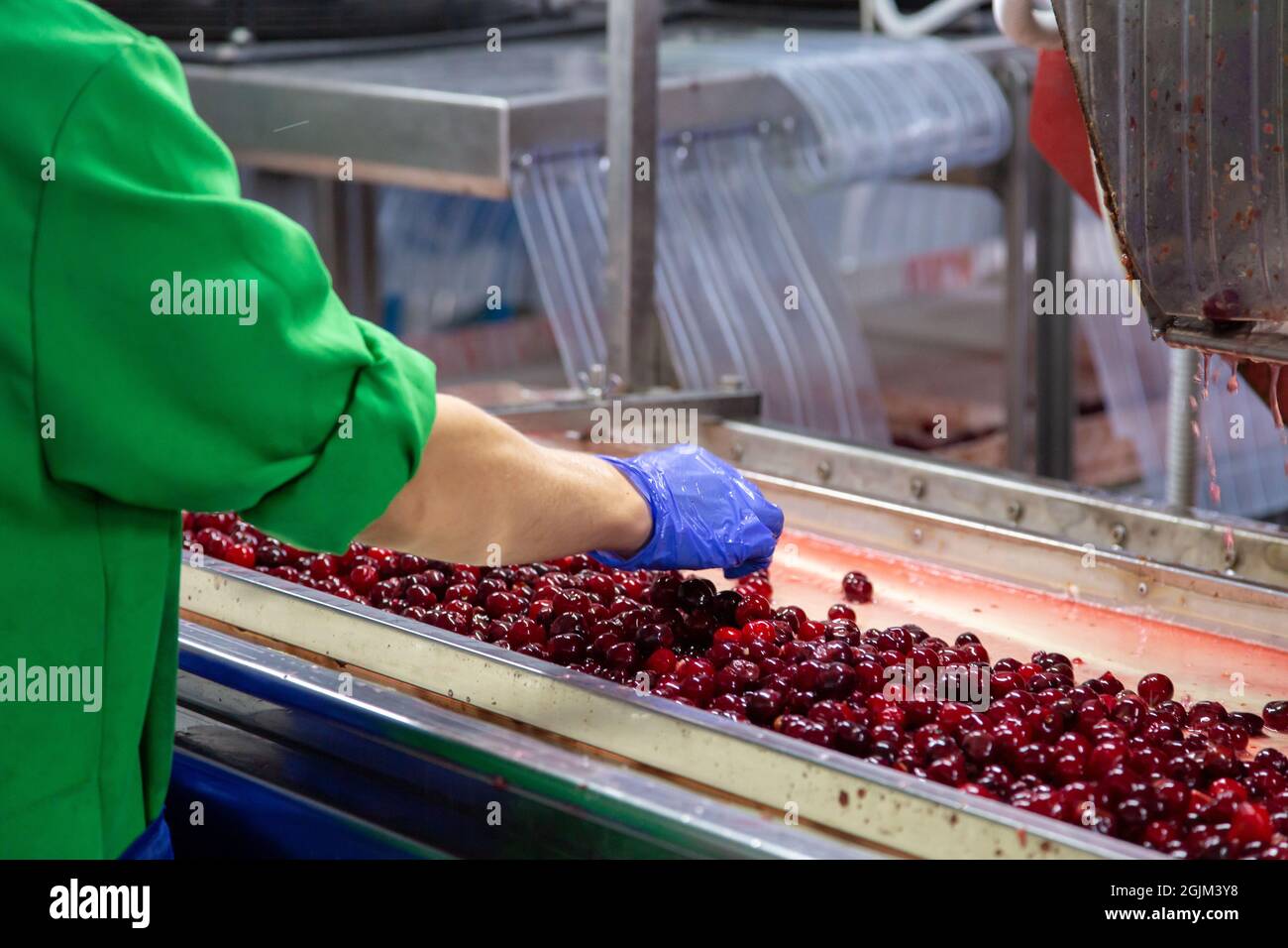 Ручная сортировка. Ручная сортировка. Сортировочная линия отходов. Сортировка мусора на конвейере. Сортировка и переработка тбо.