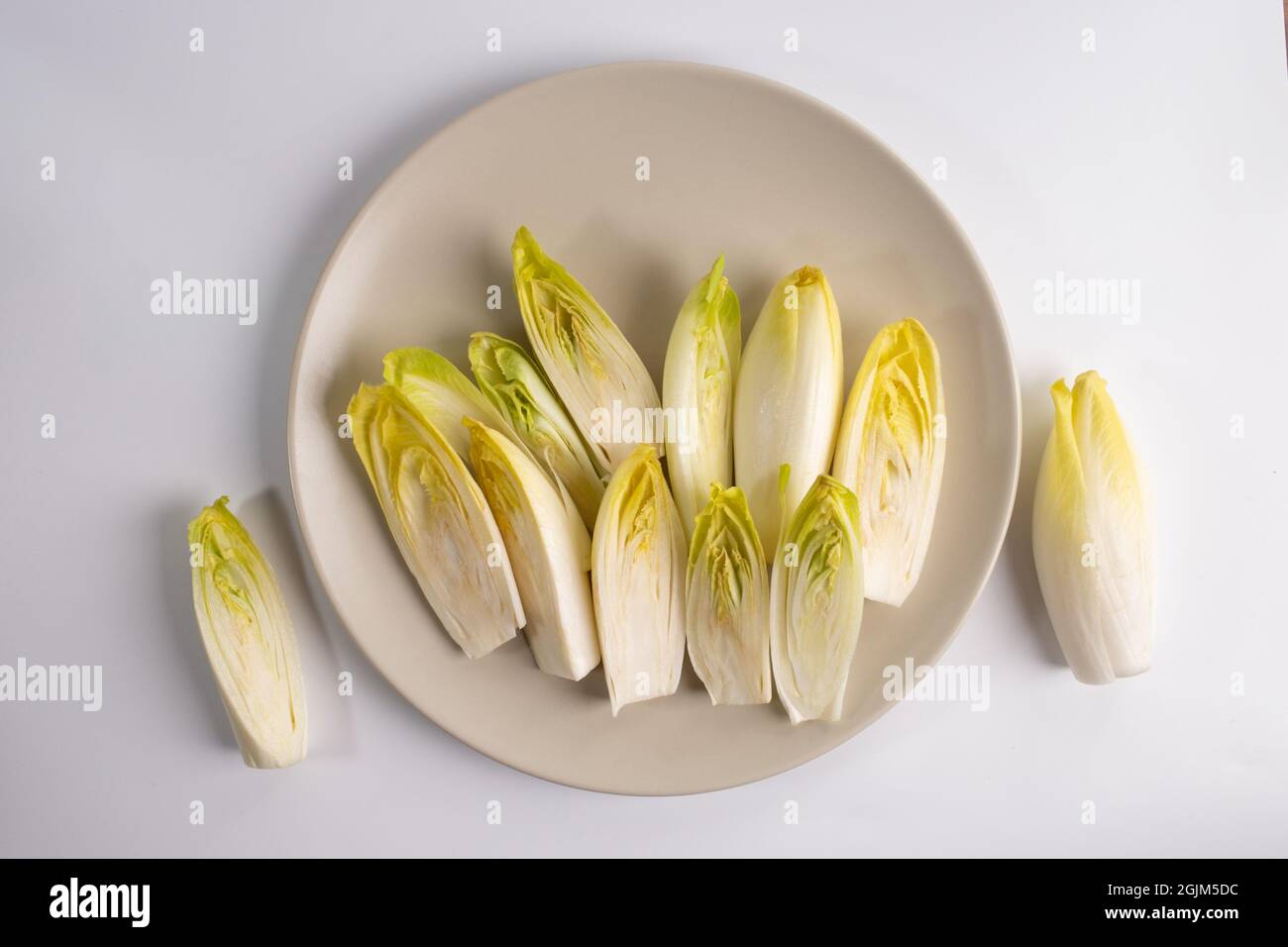 raw organic Belgian or french endives, chicory salad, top view Stock Photo