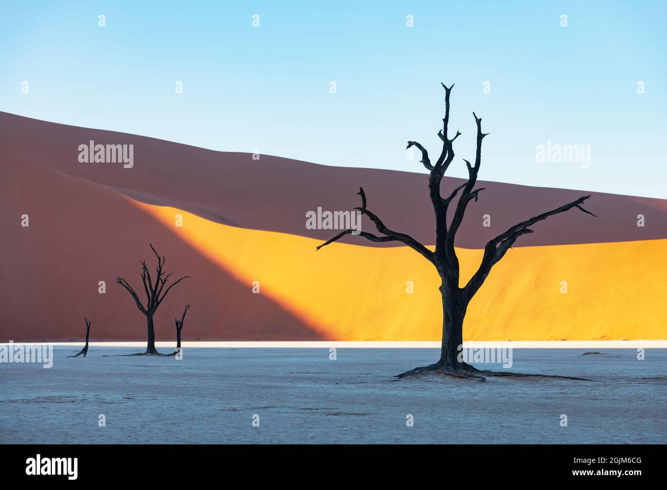 Dead Camelthorn Trees at sunrise, Deadvlei, Namib-Naukluft National Park, Namibia, Africa. Dried trees in Namib desert. Landscape photography Stock Photo